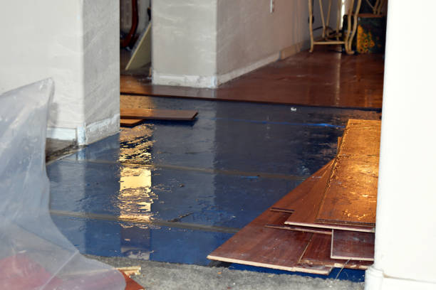 Professional Sewage Cleanup technician working in Conway, NH